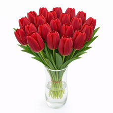Тюльпан зріз First Date 25 шт (букет)