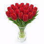 Тюльпан зріз First Date 25 шт (букет)