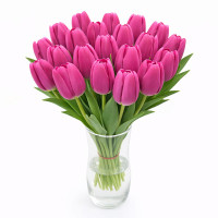 Тюльпан зріз Fortress 25 шт (букет)