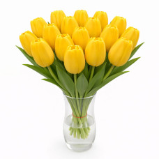 Тюльпан зріз Golden Apeldoorn 25 шт (букет)