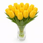 Тюльпан зріз Golden Apeldoorn 25 шт (букет)