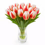 Тюльпан зріз Happy Generation 25 шт (букет)
