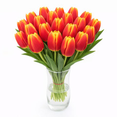 Тюльпан зріз Hennie van der Most 25 шт (букет)