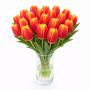 Тюльпан зріз Hennie van der Most 25 шт (букет)