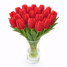 Тюльпан зріз Ile de France 25 шт (букет)