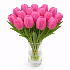 Тюльпан зріз Ivanka 25 шт (букет)