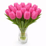 Тюльпан зріз Ivanka 25 шт (букет)
