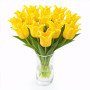 Тюльпан зріз Kings Crown 25 шт (букет)