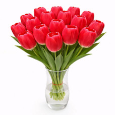 Тюльпан зріз Kung Fu 25 шт (букет)