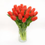 Тюльпан зріз Lalibela 25 шт (букет)