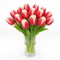 Тюльпан зріз Lech Walesa 25 шт (букет)