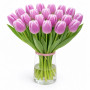 Тюльпани зріз Librije 25 шт (букет)