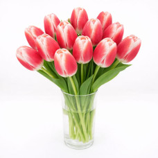 Тюльпан зріз Marrero 25 шт (букет)
