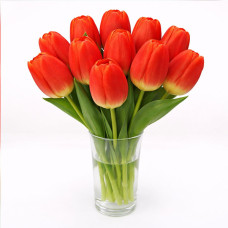 Тюльпан зріз Oxford 25 шт (букет)