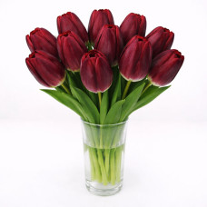 Тюльпан зріз Pallada 25 шт (букет)