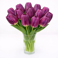 Тюльпан зріз Party Night 25 шт (букет)