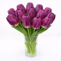 Тюльпан зріз Party Night 25 шт (букет)