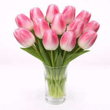 Тюльпан зріз Pulitzer 25 шт (букет)