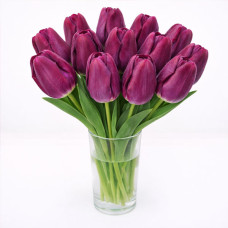Тюльпан зріз Purple Eye 25 шт (букет)