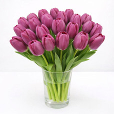 Тюльпан зріз Roeska 25 шт (букет)