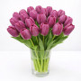 Тюльпан зріз Roeska 25 шт (букет)