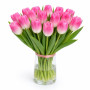Тюльпан зріз Royal Ten 25 шт (букет)