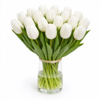 Тюльпан зріз Snowboard 25 шт (букет)