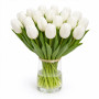 Тюльпан зріз Snowboard 25 шт (букет)