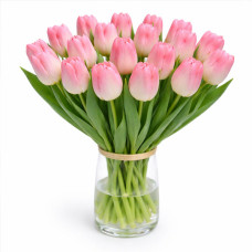Тюльпан зріз Supermodel 25 шт (букет)