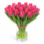Тюльпан зріз Sweet Rosy 25 шт (букет)