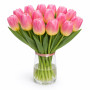 Тюльпан зріз Tom Pouce 25 шт (букет)