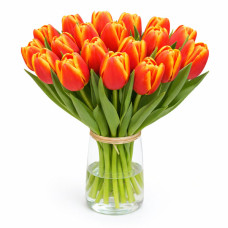 Тюльпан зріз Verandi 25 шт (букет)