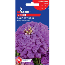 Циния Вайолет Квин 0,5 г GL Seeds