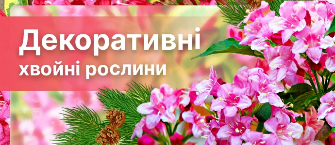 Перейти в каталог >>