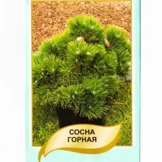 Сосна Горная 0,1 г АГРОПАК