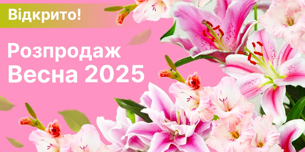 Перейти в каталог >>