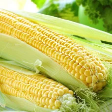 Кукуруза Деликатесная 100 г Фасованное